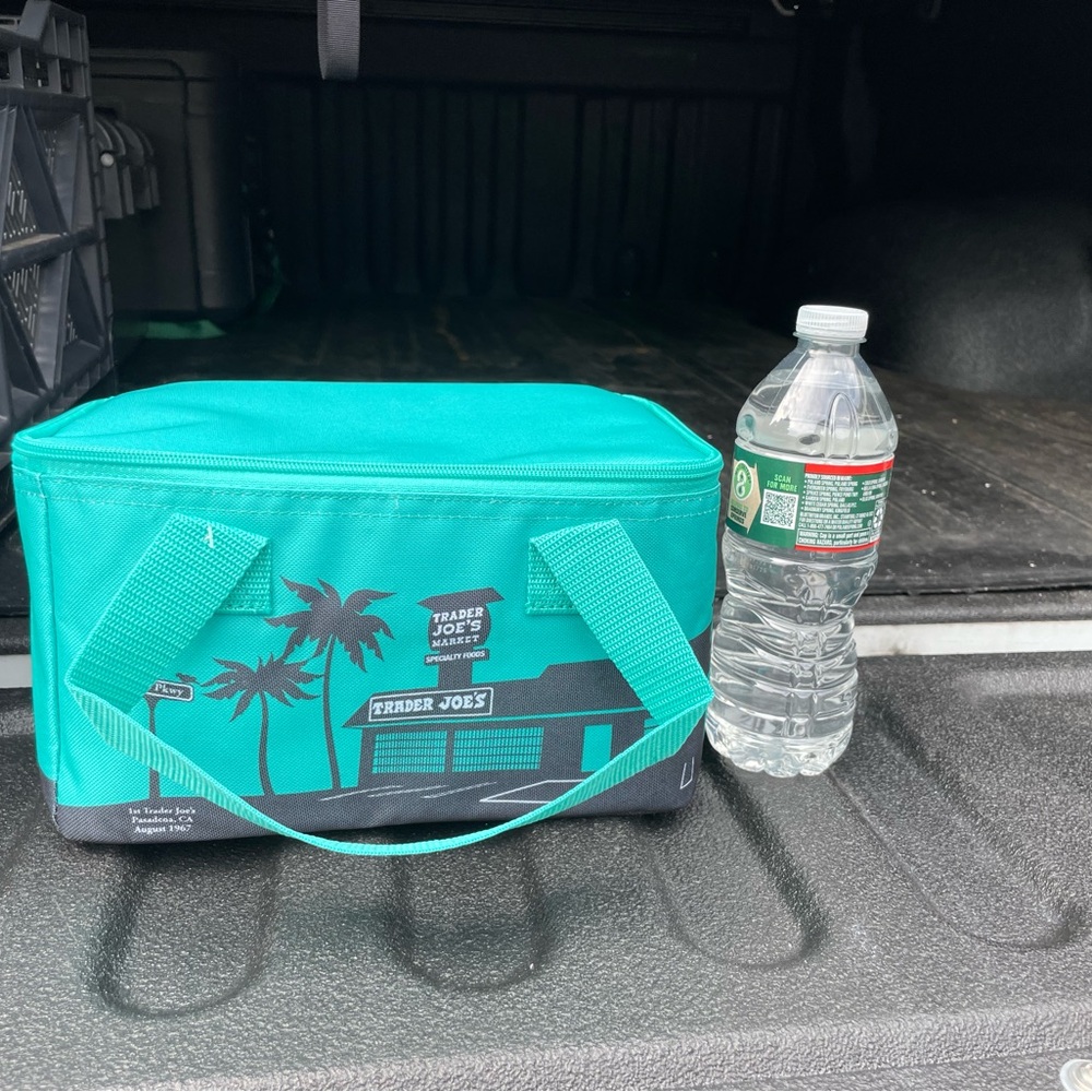 Trader Joe’s Mini Insulated Cooler Bag Teal